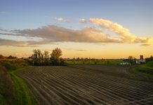 “Pettine e schiuma” di Andrea Borrini vince il XIX concorso fotografico Campagne