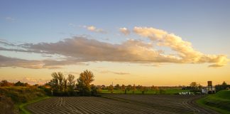 “Pettine e schiuma” di Andrea Borrini vince il XIX concorso fotografico Campagne
