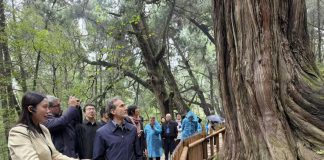 Cina-Italia: Strada per Shu e Via Appia, dialogo tra civiltà attraverso montagne e mari