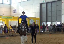 Casa del Sole protagonista a Fieracavalli: sport, inclusione e terapia in scena a Verona