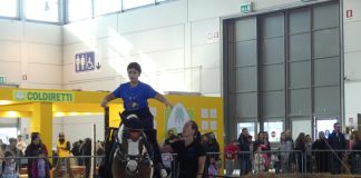Casa del Sole protagonista a Fieracavalli: sport, inclusione e terapia in scena a Verona