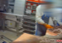 Immagini choc in un macello di Pietole: “carne scaduta ripulita e rimessa in vendita”