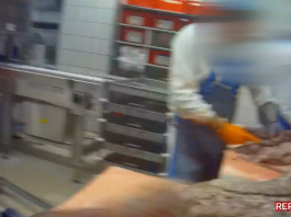 Immagini choc in un macello di Pietole: “carne scaduta ripulita e rimessa in vendita”