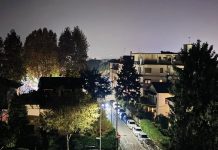 Suzzara, illuminazione e cura del verde: interventi in città per la sicurezza