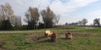 18 nuove piante, una per ogni nato: così Rivarolo Mantovano celebra la Giornata dell’Albero