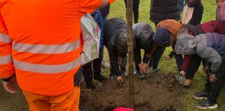 I bambini della Allende custodi del verde: piantano nuovi alberi al Forte di Lunetta