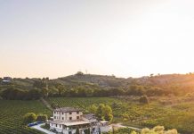 Destination wedding, quasi 1 mld euro fatturato nozze di stranieri nel 2024 e ulteriore crescita nel 2025