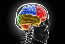 Sclerosi multipla, Bandiera (Aism): “Caregiver fondamentali ma ancora invisibili”