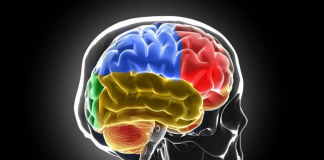 Sclerosi multipla, Bandiera (Aism): “Caregiver fondamentali ma ancora invisibili”