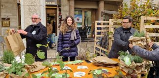 Mantova, distribuite mille piante. Murari: “Città più verde grazie al contributo di tutti”