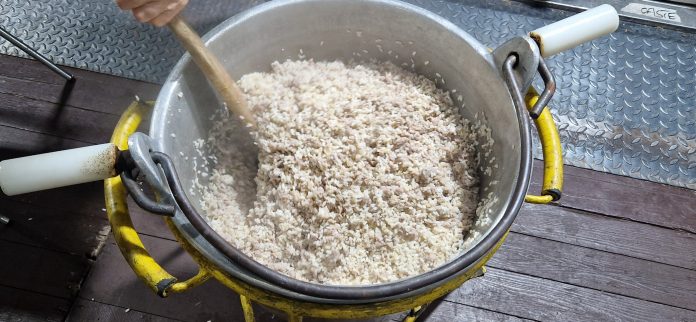 fiera del riso boma mantova (28)