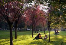 Ultime piogge poi arriva l’estate di San Martino in anticipo: le previsioni meteo