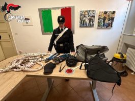 Ladro acrobata s’intrufola nel negozio ma rimane chiuso dentro: liberato e denunciato