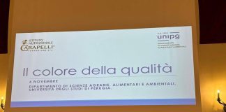 Olio, Inc: “Nuove evidenze scientifiche per preservare qualità evo in bottiglia”