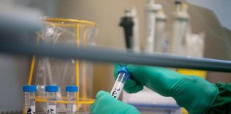 Tumori, lo studio: scoperto interruttore molecolare per ‘riconvertire’ le cellule maligne
