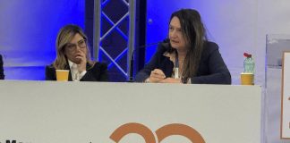 Mangiacavalli (Fnopi): “Ddl delega su professioni passaggio cruciale”