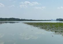 Bagnolo, 2,9mln da Regione per manutenzione e sicurezza idraulica Mincio