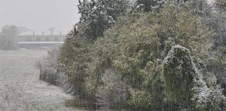 Neve e gelo polare, inverno è in anticipo