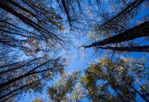 L’estate di San Martino non delude, stop alla pioggia arrivano beltempo e temperature miti