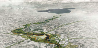 “Mantova città degli alberi”, il piano: cintura verde a sud, piante in centro e bacini di laminazione