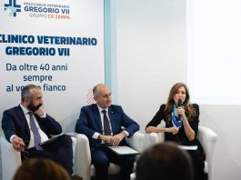 Università, Roma Tor Vergata e Policlinico veterinario Geregorio VII per ospedale didattico