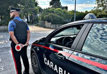 Viadana, fugge all’alt dei carabinieri: scatta l’inseguimento. 26enne fermato e denunciato