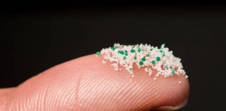 Medici ambiente, ‘da cervello a placenta microplastiche ovunque nel nostro corpo
