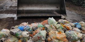 Rifiuti, Cic-Legambiente: alleanza strategica per potenziare il riciclo organico