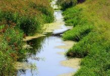 Rigenerazione dei canali: 550 mila euro a disposizione dei Comuni mantovani