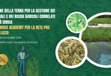 Ismea Copernicus Academy, al via Open school Lazio su osservazione Terra