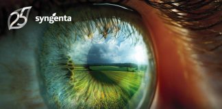 Syngenta Italia celebra 25 anni di innovazione e sostenibilità nel settore agro-industriale