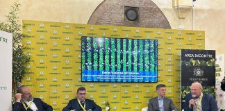 Coldiretti, Italia si riconferma leader produzione in Ue di tabacco