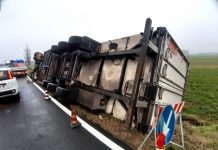 Pegognaga: camion frigo si ribalta nella notte, traffico in tilt sulla Sp.49