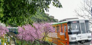 Tragedia in Cina: operai al lavoro travolti da un treno, 11 morti