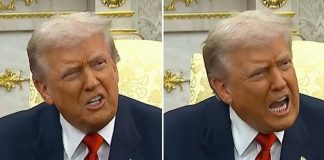 Trump, risposte di fuoco alle giornaliste su Epstein tra “zitta maialina” e “sei pessima”