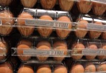 Quanti errori in cucina, dal frigo all’igiene: il decalogo dell’Iss per pasti sicuri