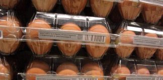 Quanti errori in cucina, dal frigo all’igiene: il decalogo dell’Iss per pasti sicuri