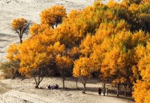 Cina, nello Xinjiang produzione di petrolio greggio supera 1,7 mln di tonnellate