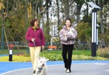 Cina, Shandong spinge sull’innovazione per far crescere l’economia pet