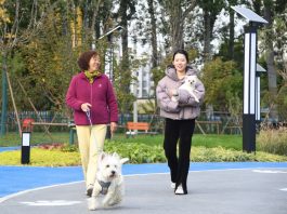 Cina, Shandong spinge sull’innovazione per far crescere l’economia pet