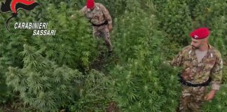 Blitz antidroga in Sardegna, 21 misure cautelari