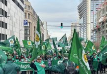 L’agricoltura protesta a Bruxelles, Giansanti “Asset strategico per l’Europa”