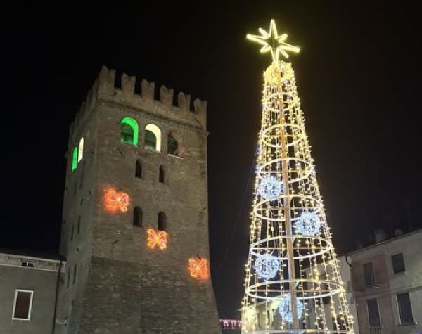 Albero amministrazin