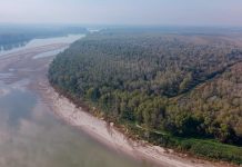 Suzzara, aperitivo scientifico del Wwf sui cambiamenti climatici con Davide Persico