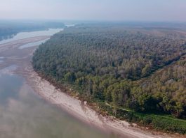 Suzzara, aperitivo scientifico del Wwf sui cambiamenti climatici con Davide Persico
