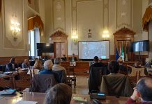 Mantova, indice di boscosità sotto 1%: valore più basso tra le province di pianura