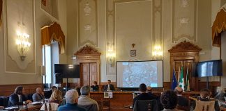 Mantova, indice di boscosità sotto 1%: valore più basso tra le province di pianura