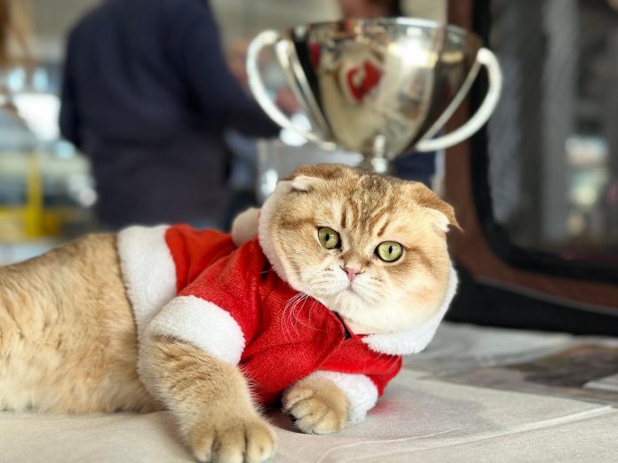 WhatsApp Image 2025-12-14 at 17.51.41 (1)