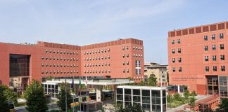 Università, Milano-Bicocca assume: 15 posti aperti tra risorse umane, ricerca e infrastrutture
