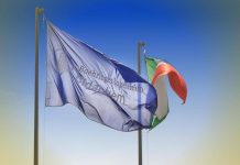 Boehringer Ingelheim, Sara Frattini alla guida di Bidachem Spa